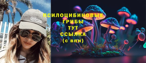 mdma Богородицк
