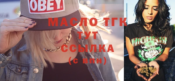 гашик Богородск
