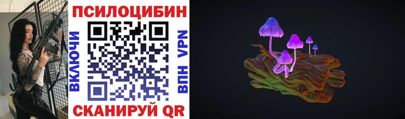 Псилоцибиновые грибы Psilocybine cubensis  Волжск 